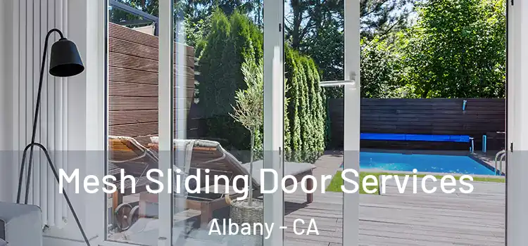 Mesh Sliding Door Services Albany - CA